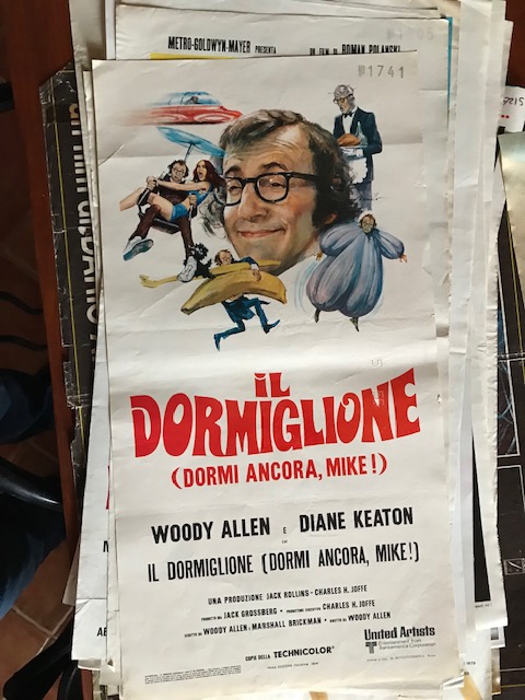 Il dormiglione