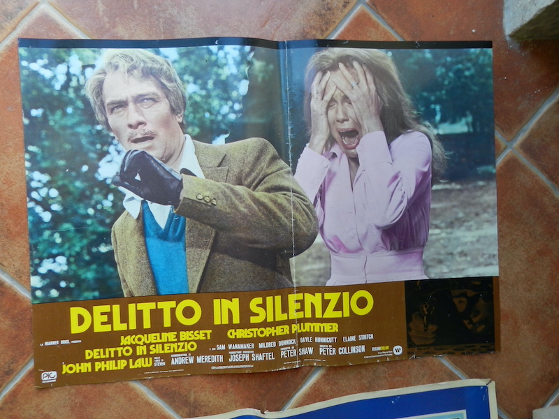 Delitto in silenzio