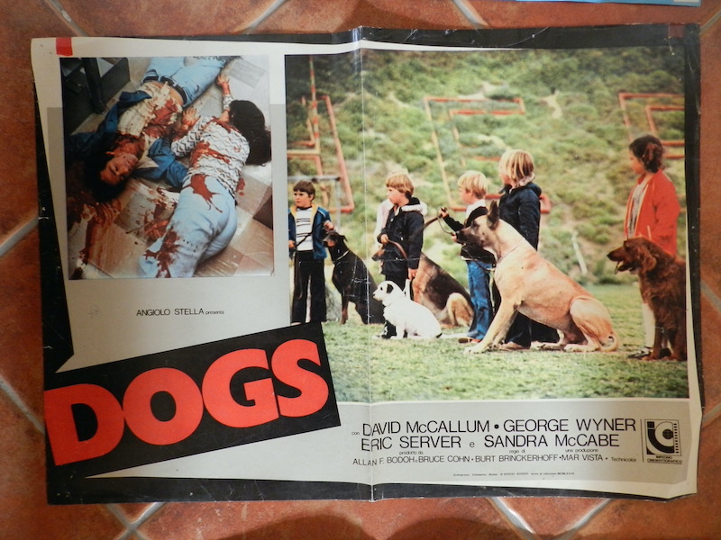 Dogs