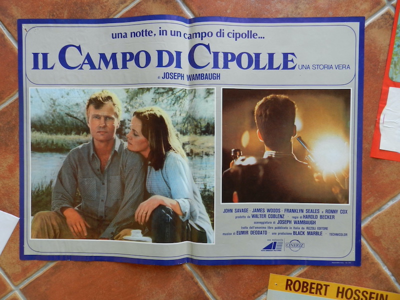 Il campo di cipolle
