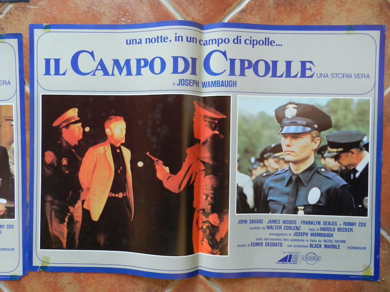 Il campo di cipolle_2
