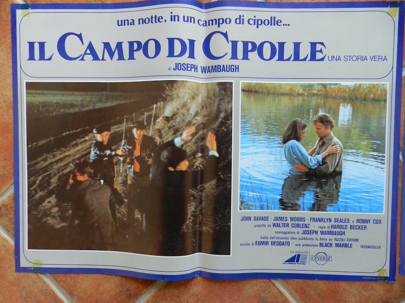 Il campo di cipolle_4
