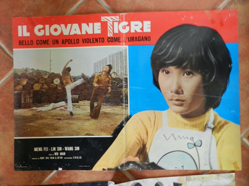 Il giovane tigre