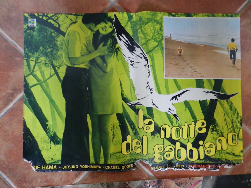 La notte del gabbiano