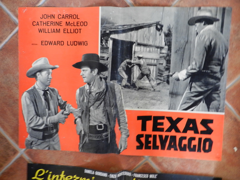 Texas selvaggio