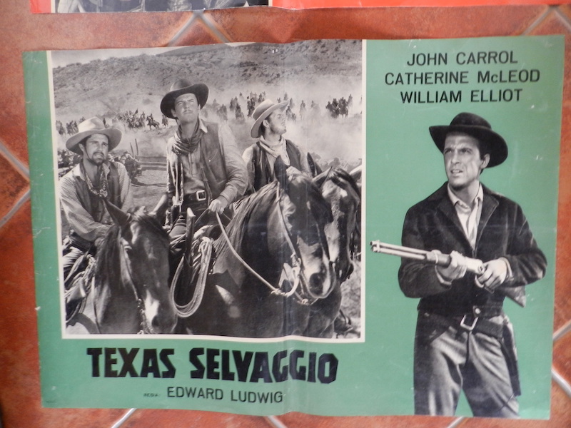 Texas selvaggio_4