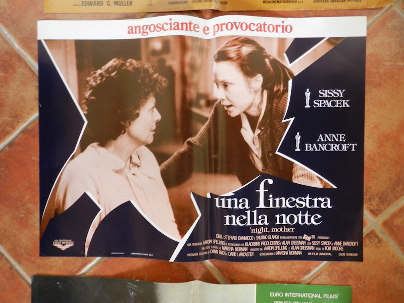 Una finestra nella lotta