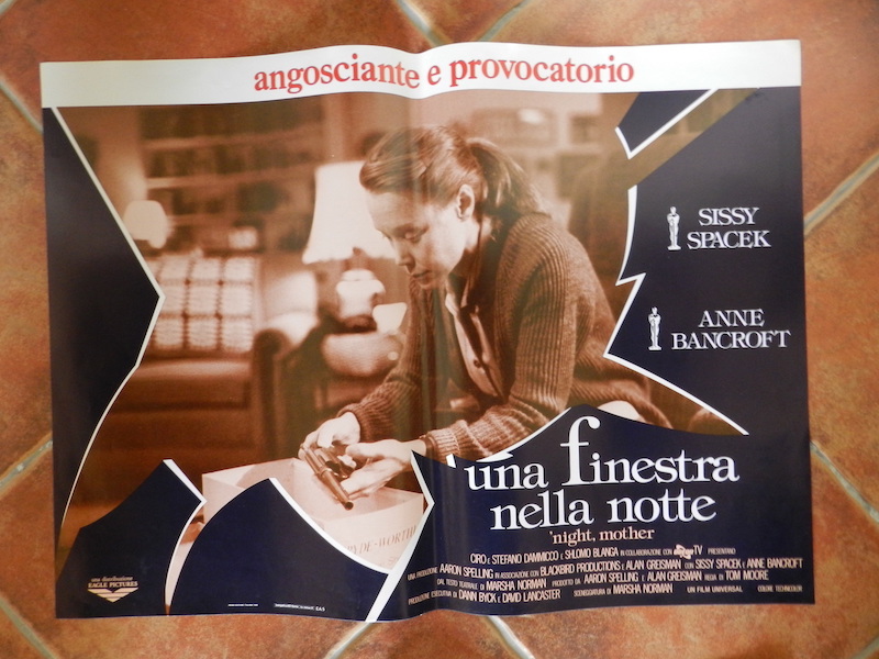 Una finestra nella lotta_2