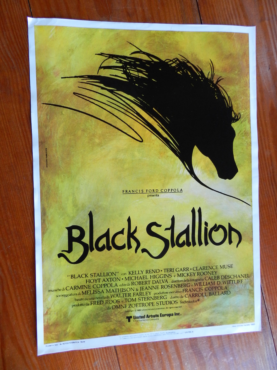 Black Stallion