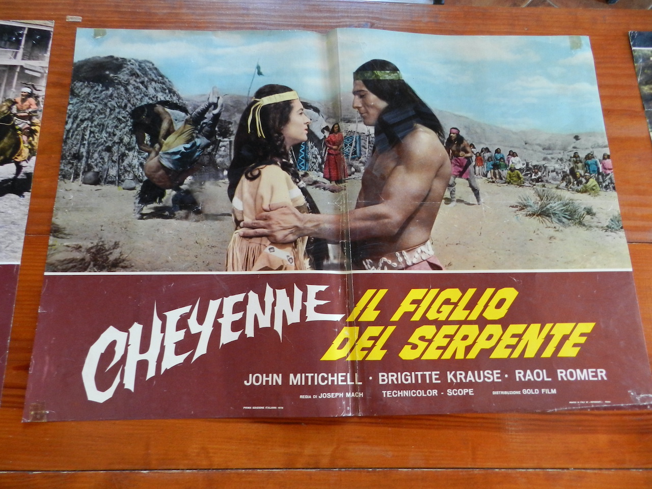 Cheyenne, il figlio del serpente