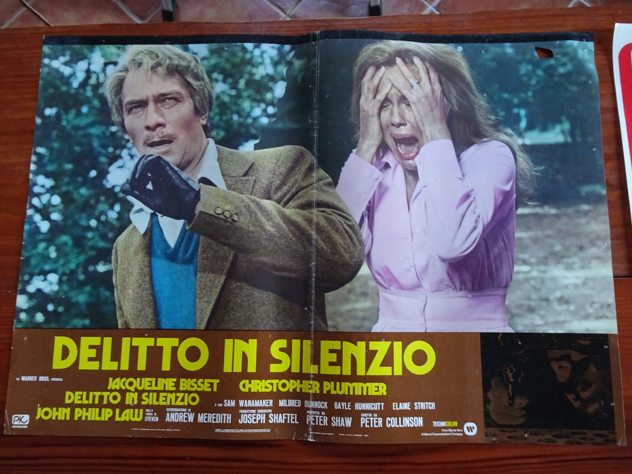 Delitto in silenzio