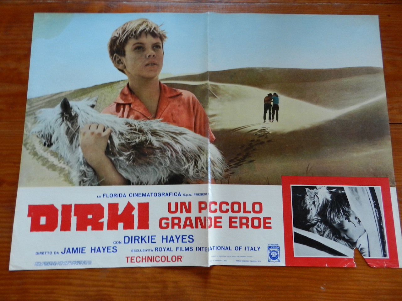 Dirkie, un piccolo grande eroe