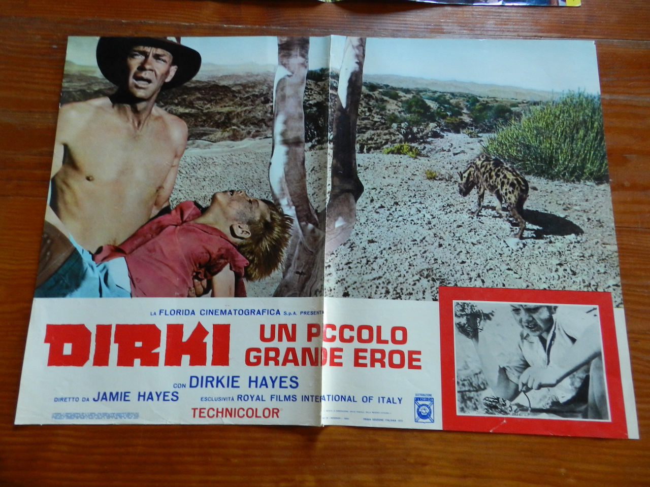 Dirkie, un piccolo grande eroe_2