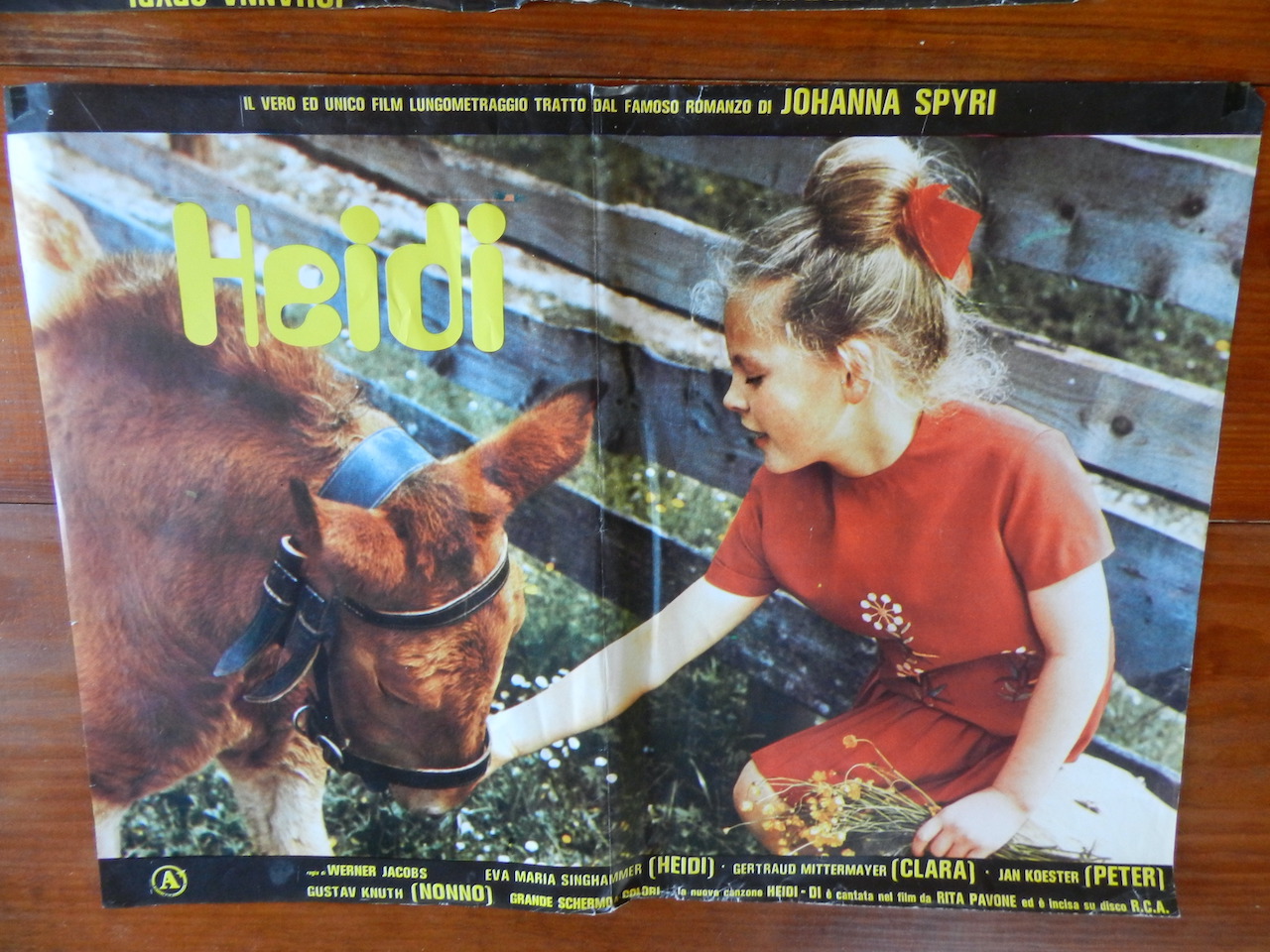 Heidi_2