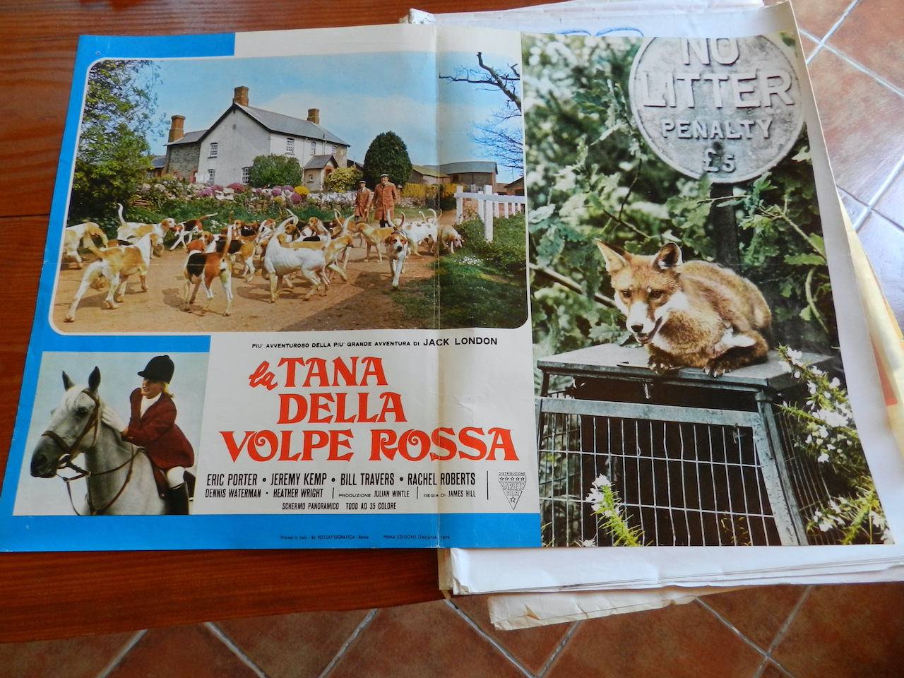 La tana della volpe rossa