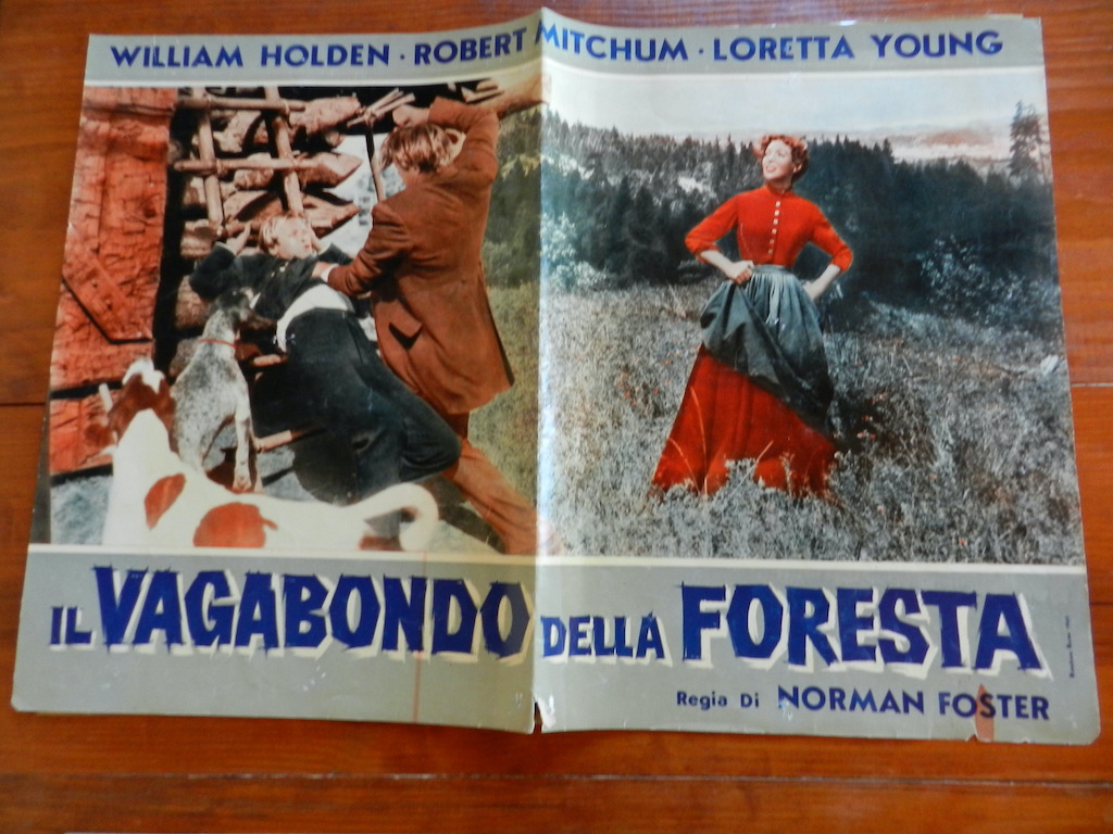 Il vagabondo della foresta (1)