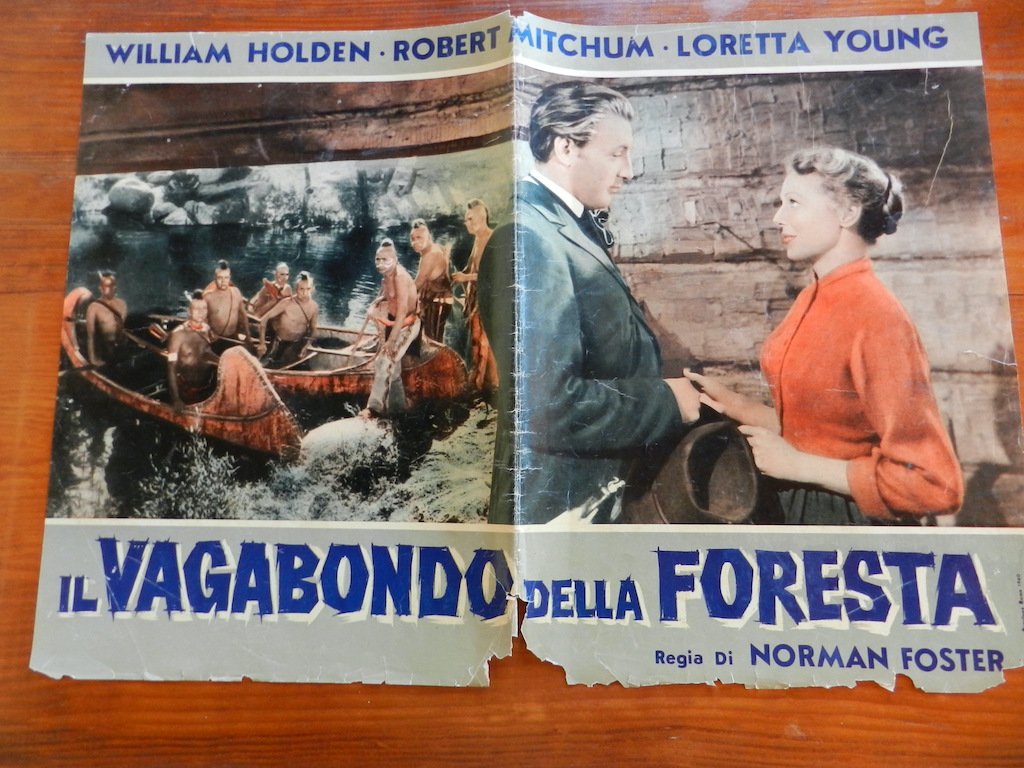 Il vagabondo della foresta (2)