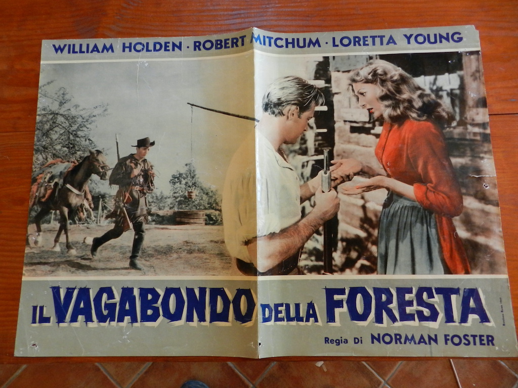 Il vagabondo della foresta (3)