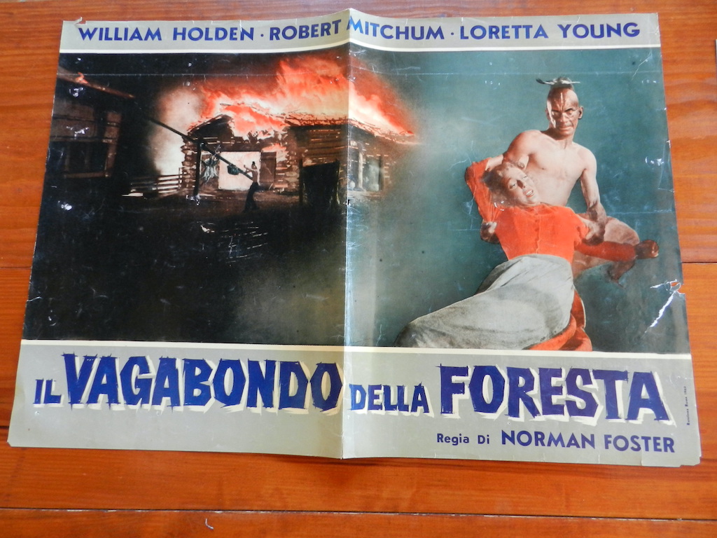 Il vagabondo della foresta (4)