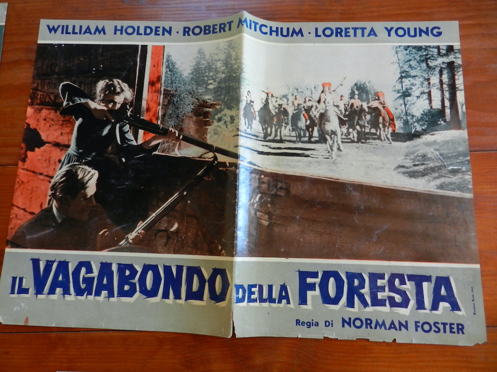 Il vagabondo della foresta (5)