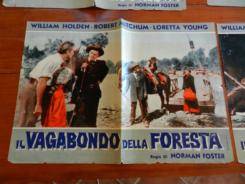 Il vagabondo della foresta (6)