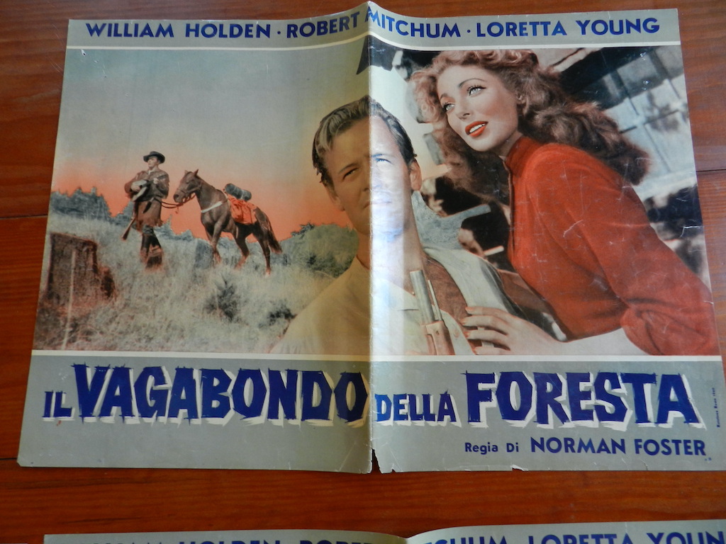 Il vagabondo della foresta (7)