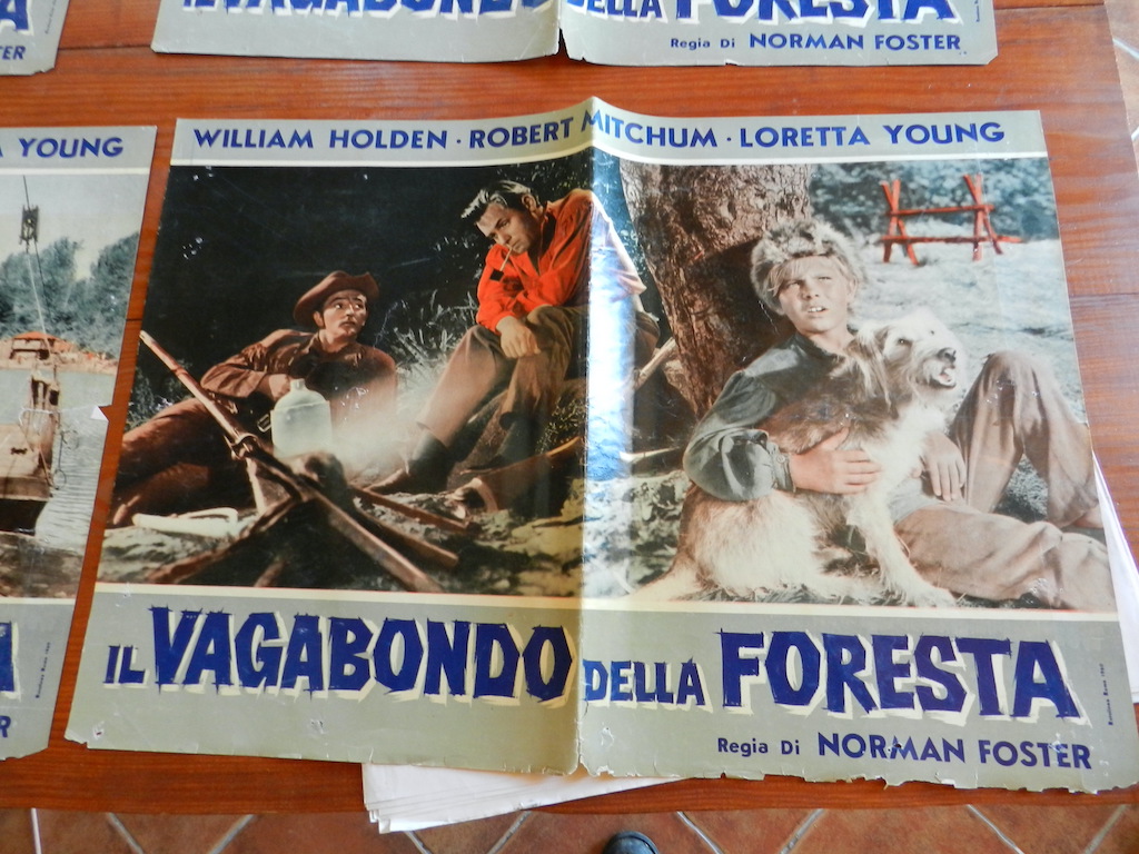 Il vagabondo della foresta (8)