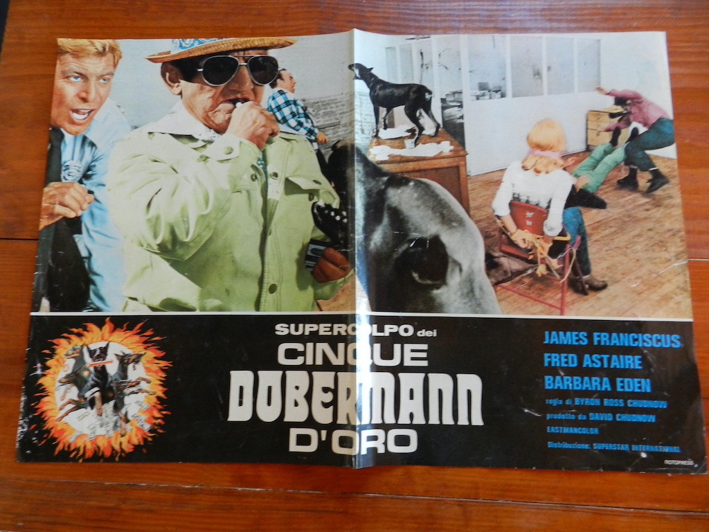Supercolpo dei cinque dobermann d’oro