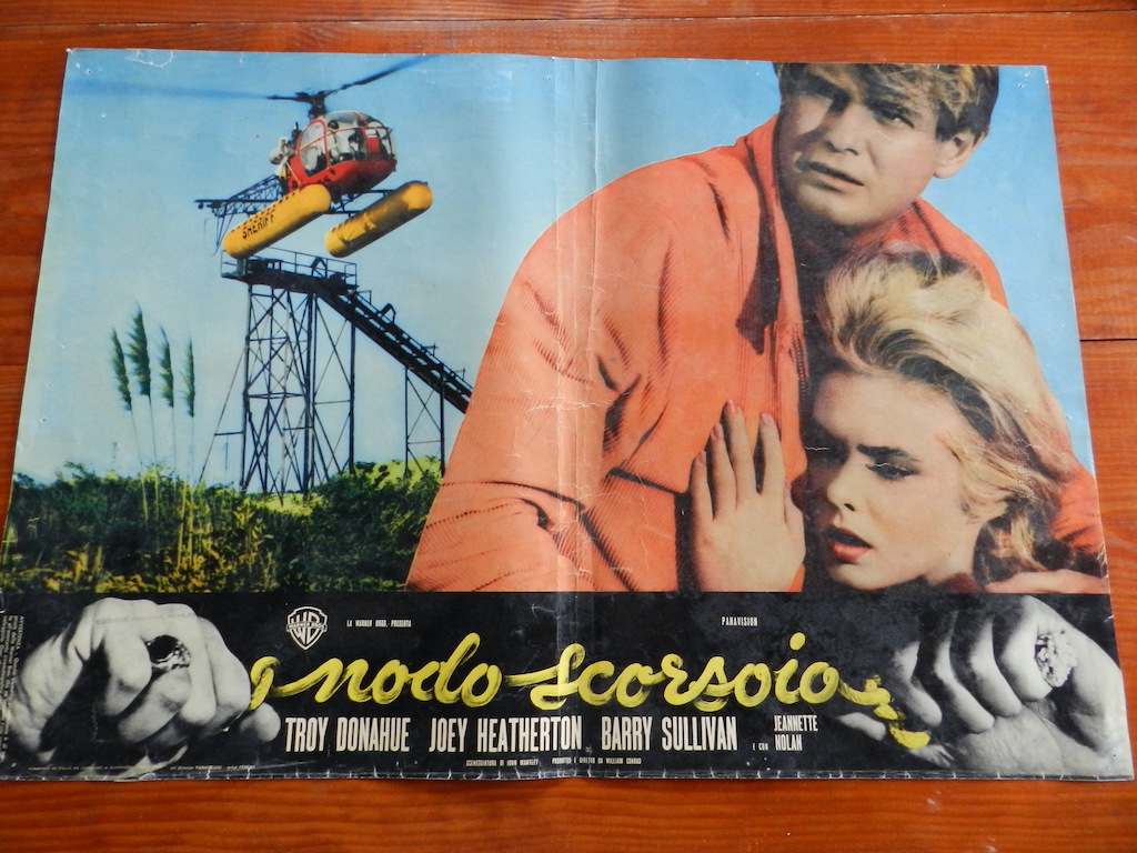 Il nodo scorsoio