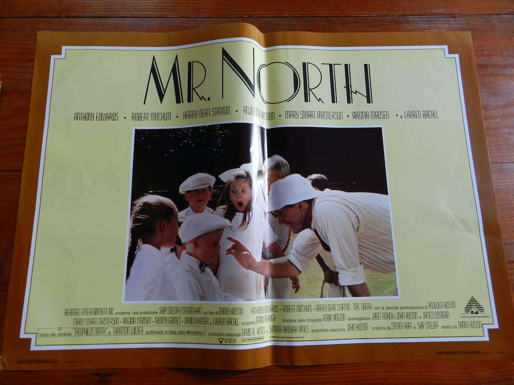 Mr. North (3)