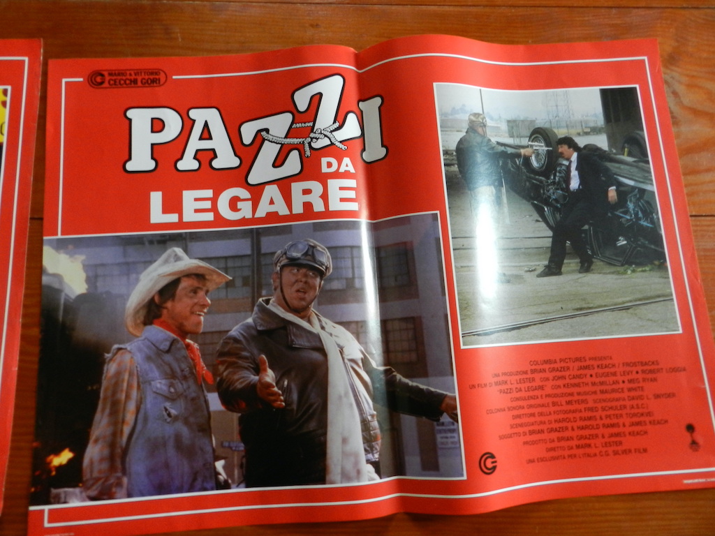 Pazzi da legare 2