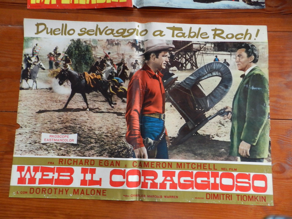 Web il coraggioso