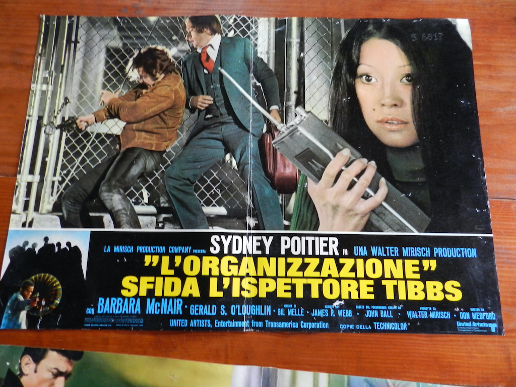 _L’organizzazione_ sfida l’ispettore Tibbs