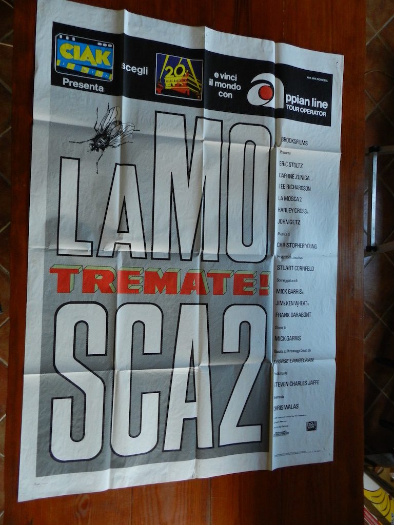 La mosca 2