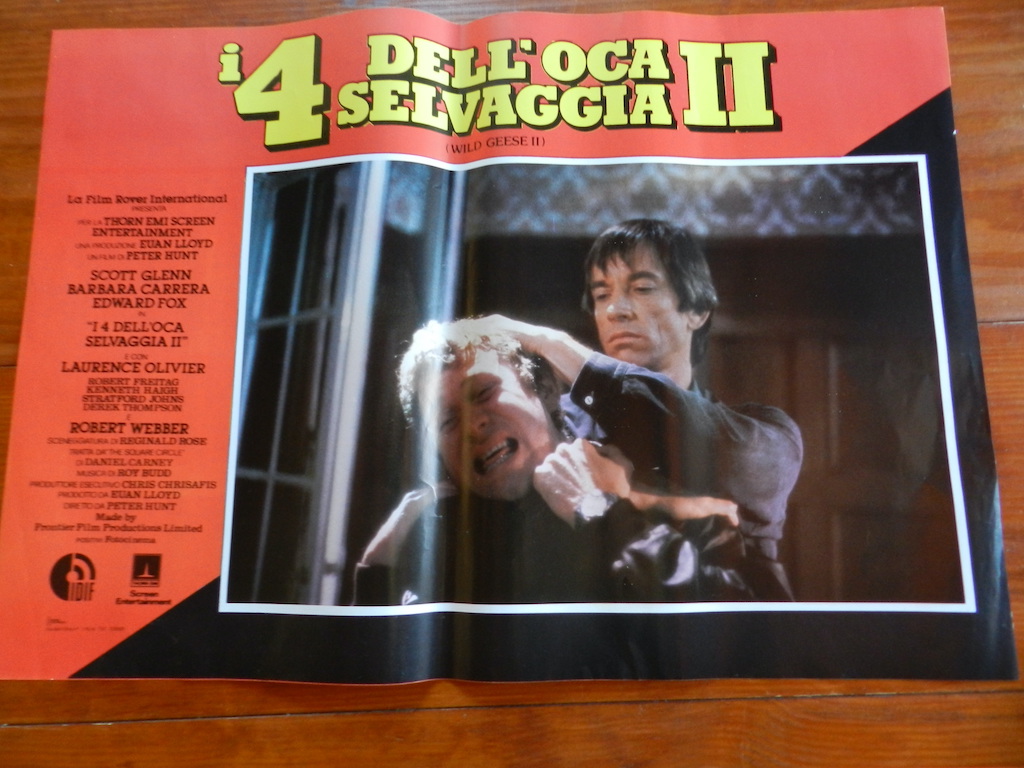 I 4 dell’oca selvaggia II (2)