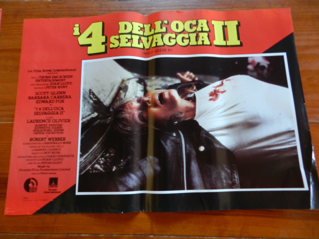 I 4 dell’oca selvaggia II (3)