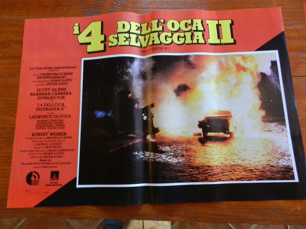 I 4 dell’oca selvaggia II (4)