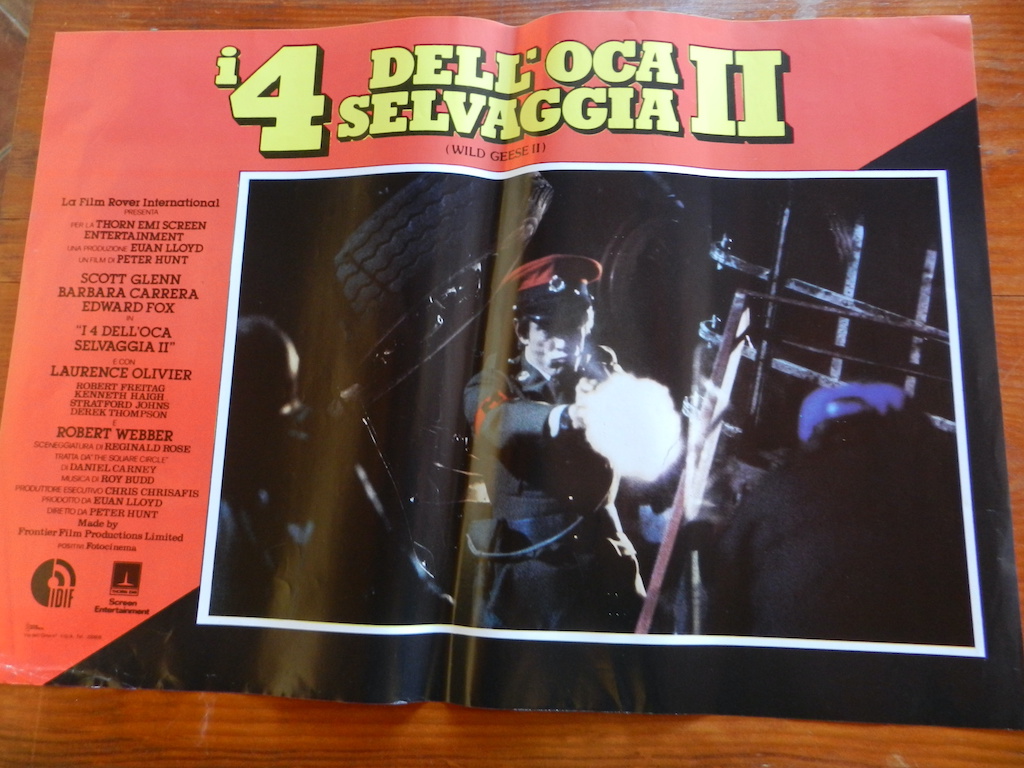 I 4 dell’oca selvaggia II (5)