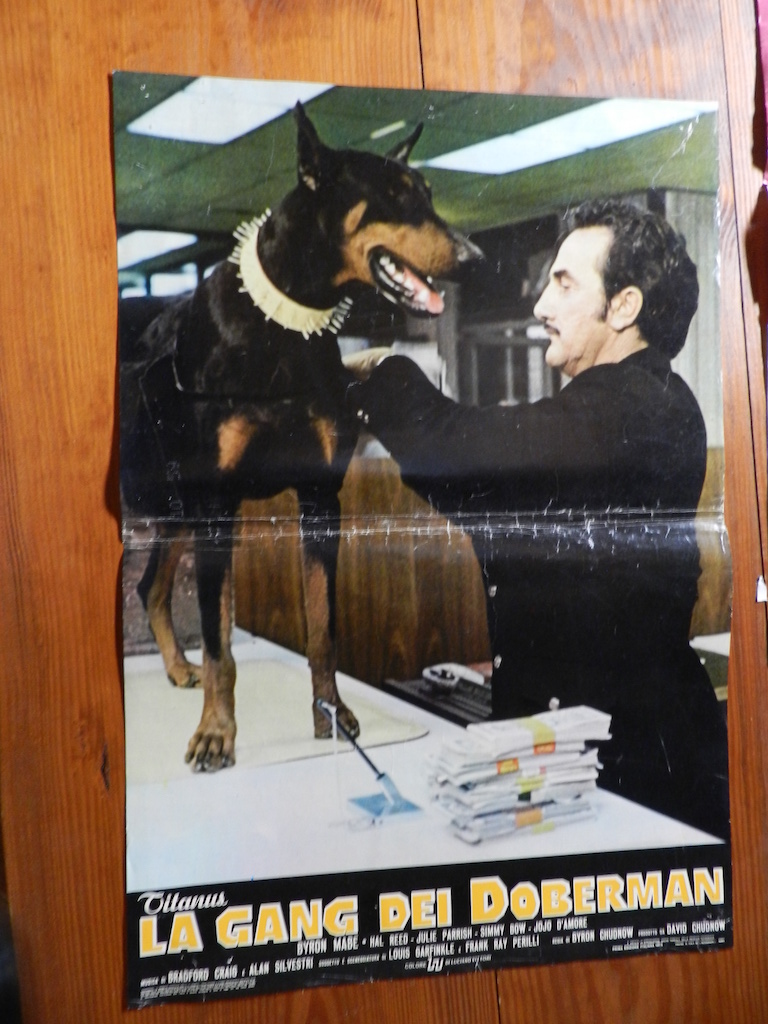 La gang dei doberman