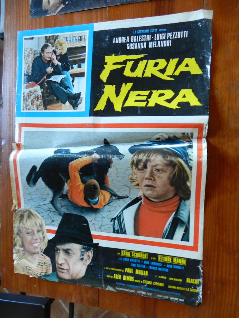 Furia nera