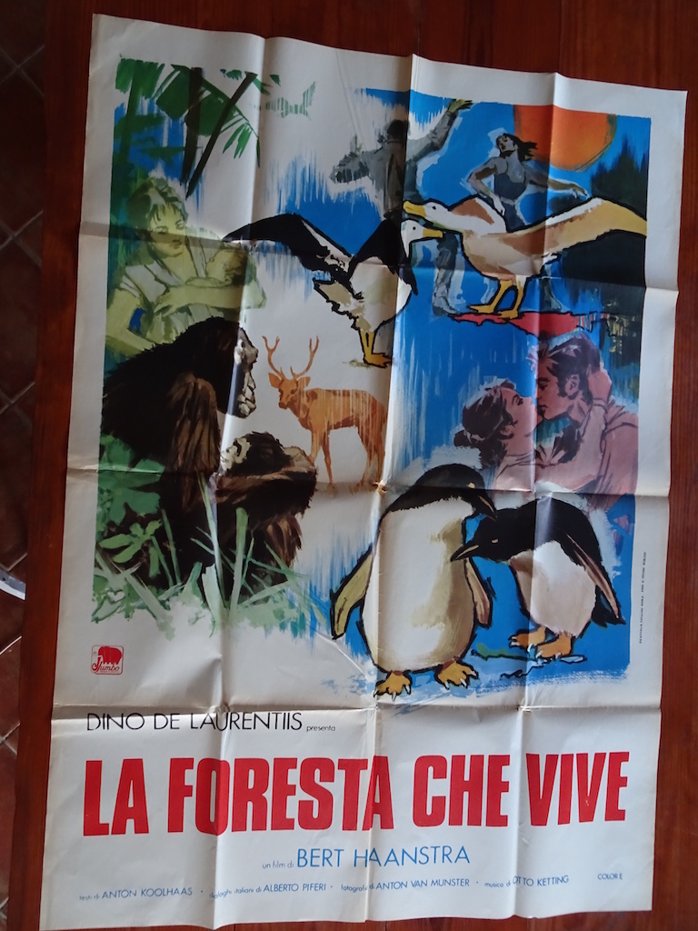 La Foresta che Vive