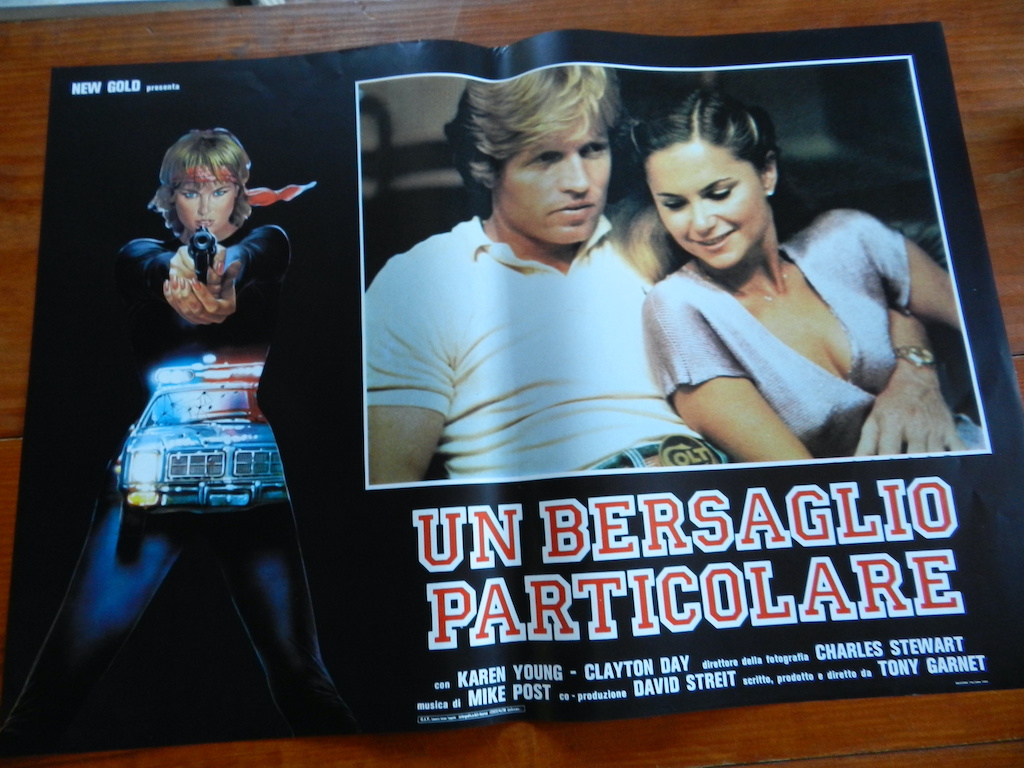 Un bersaglio particolare 4