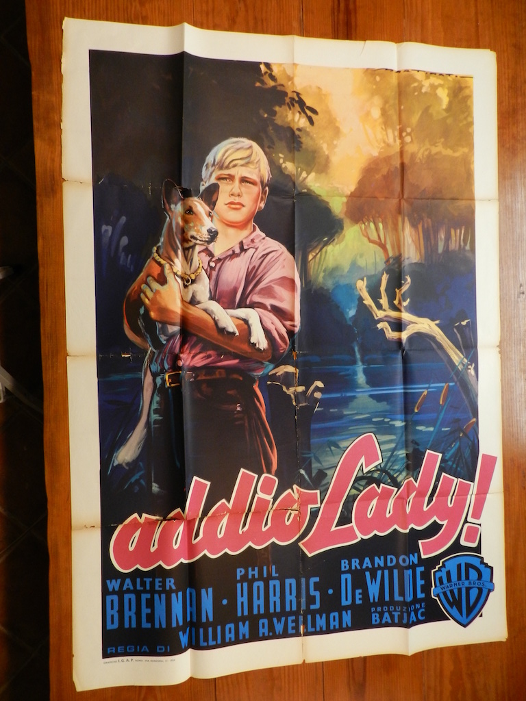 Addio Lady