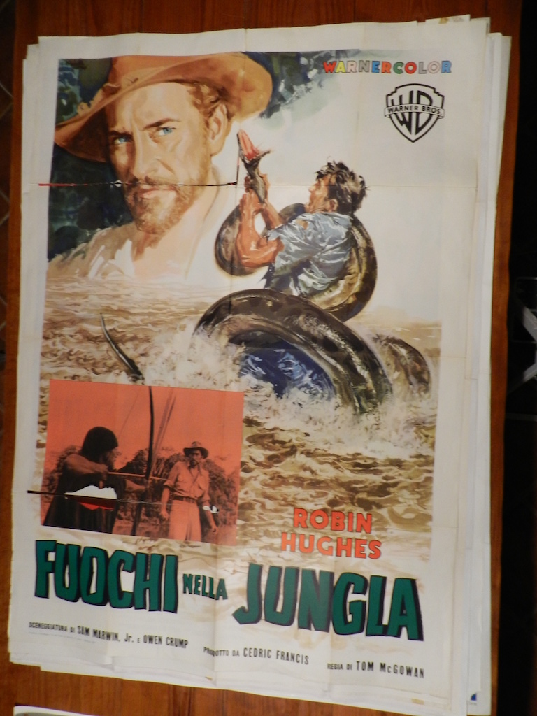 Fuochi nella giungla