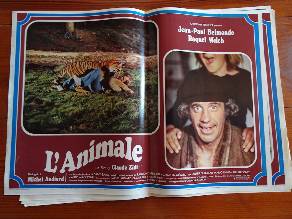 L’animale 4