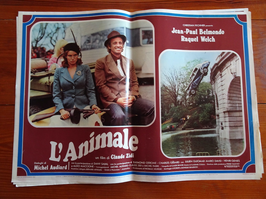 L’animale 5