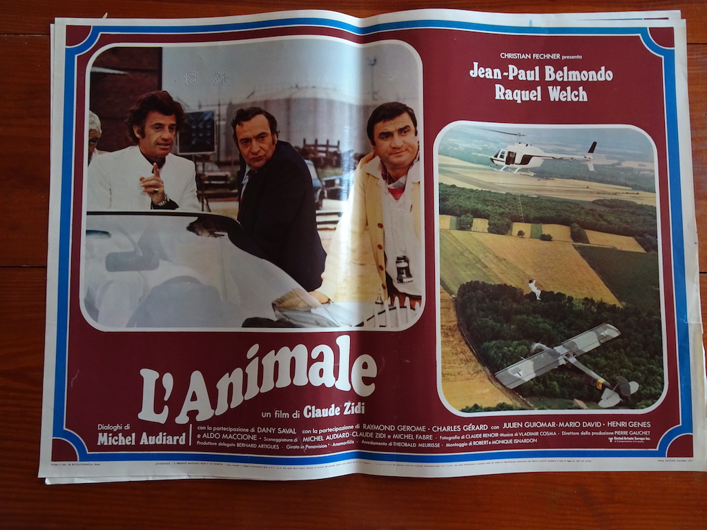 L’animale 6