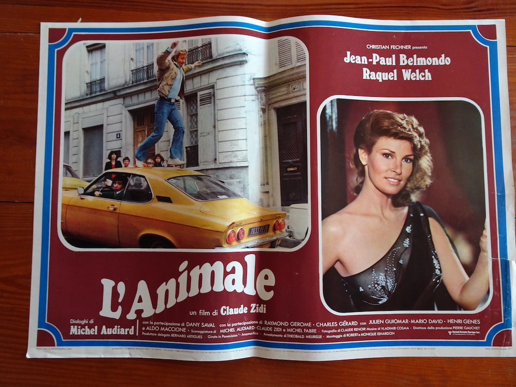 L’animale 7