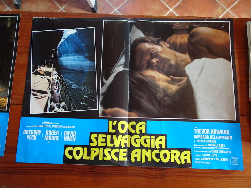 L’oca selvaggia colpisce ancora 4