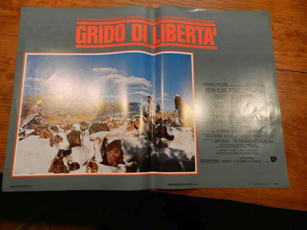 Grido di libertà 5